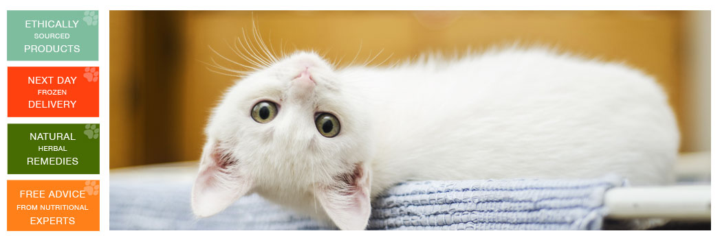 About Paws Naturally Products for Cats