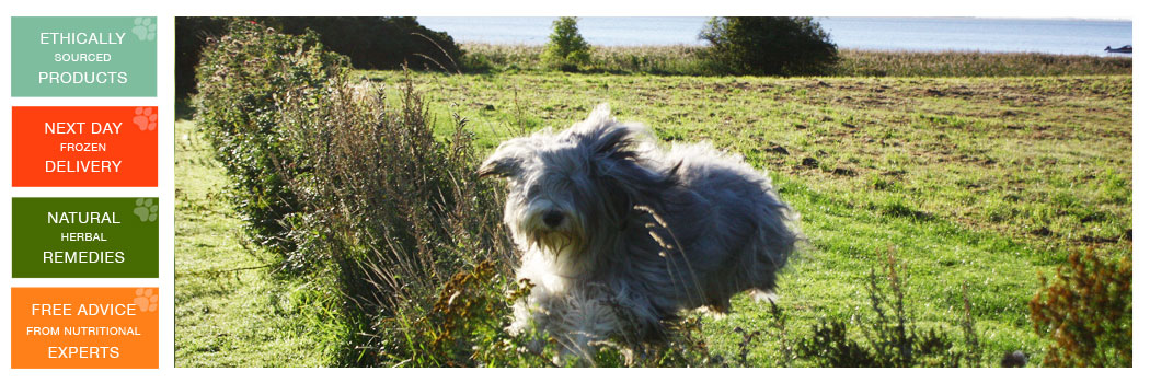 Natural Pet Vitality for Dogs