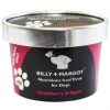 Billy & Margo Iced Treat For Dogs - Strawberry & Apple (Shop Collection Only)