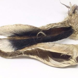 Lambs Ears With Hair