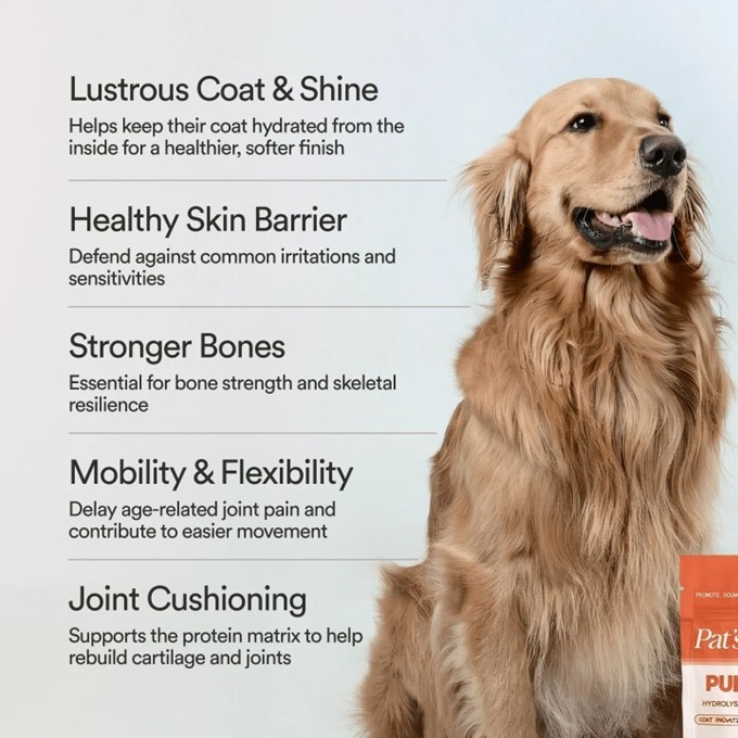 Pats Pet Kitchen - Pure Collagen - Image 4