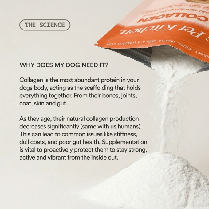 Pats Pet Kitchen - Pure Collagen - Image 6