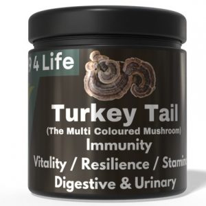 K9 4 Life - Turkey Tail Mushroom Powder For Dogs - Vitality - Immunity - Gut - Urinary Health - 100g